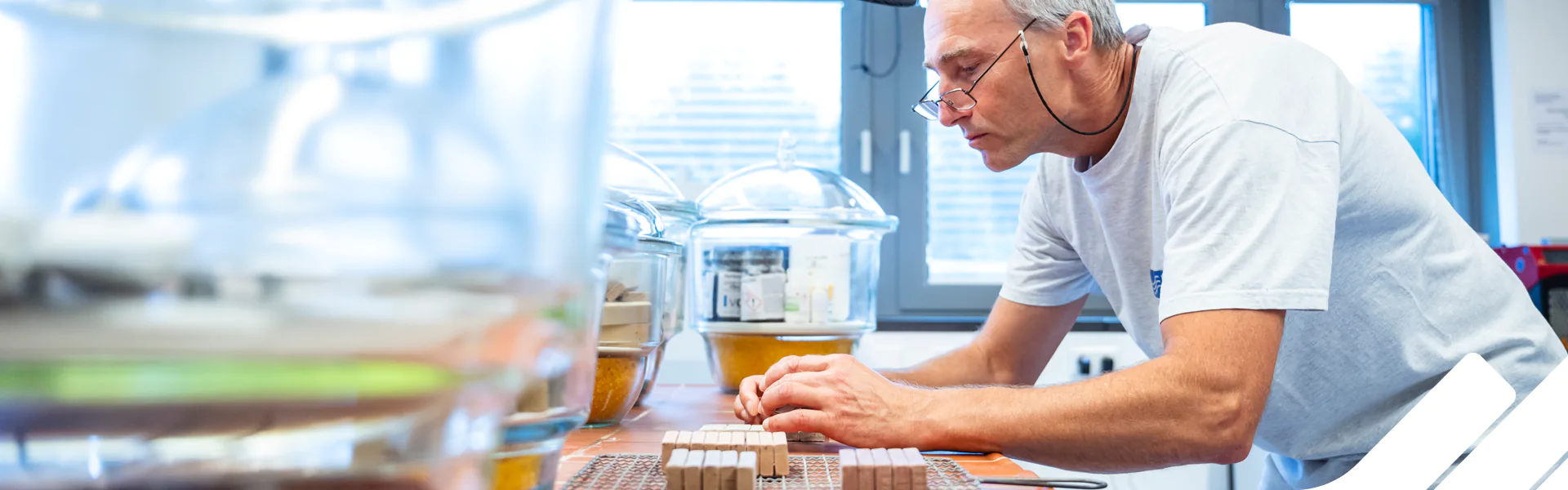 IAB – Institut für Angewandte Bauforschung Weimar gGmbH. Kompetenz und Innovationen seit über 30 Jahren.