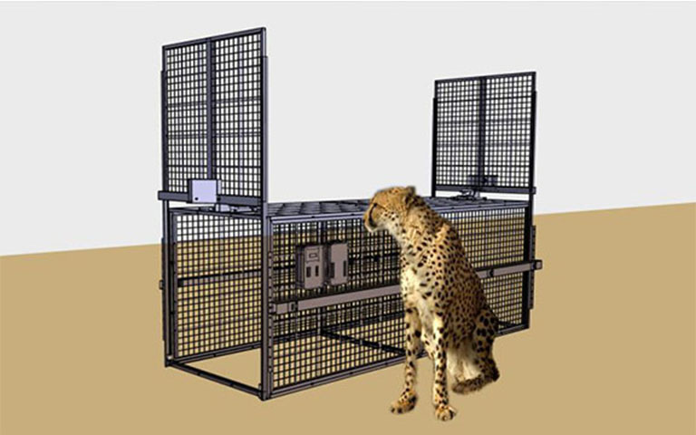 Simulation Gepard vor Falle