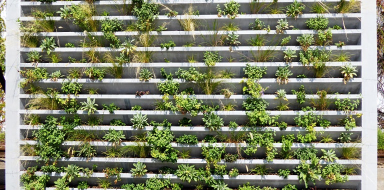 Bild Grüne Häuserfassade mit bepflanztem Betonfertigteil